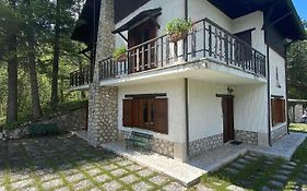 L'Orsa